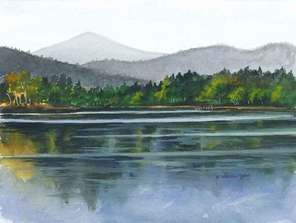 Still Waters