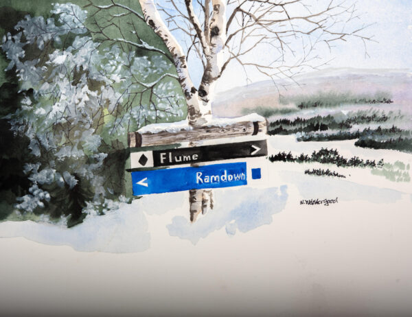 Flume - Canvas Gallery Wrap Print