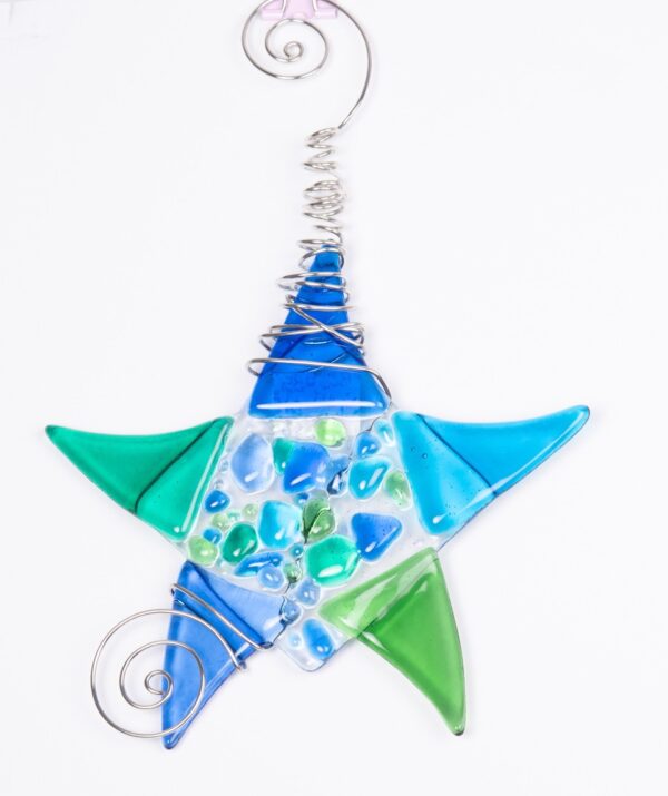 Bluegreen Multi Starfish