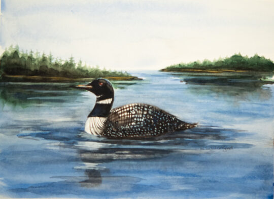 Loons Song
