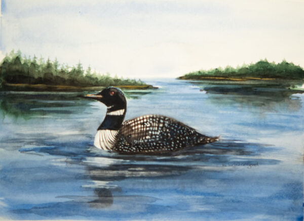 Loons Song
