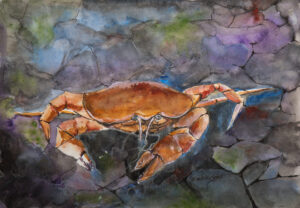 A Bit Crabby