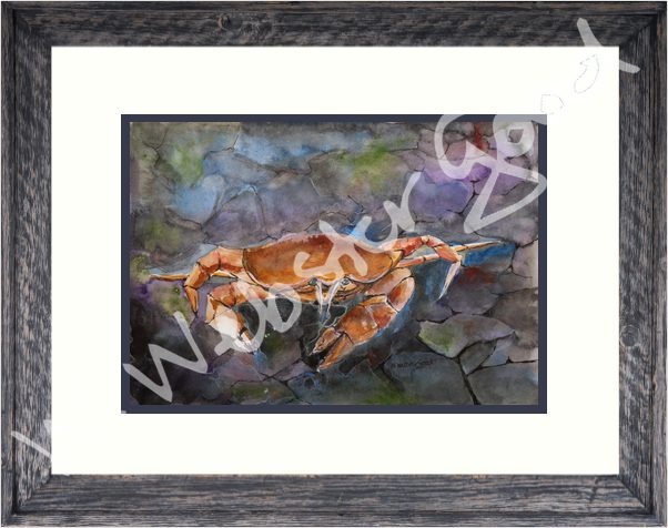 A Bit Crabby 16×20 framed A Bit Crabby 16×20 framed